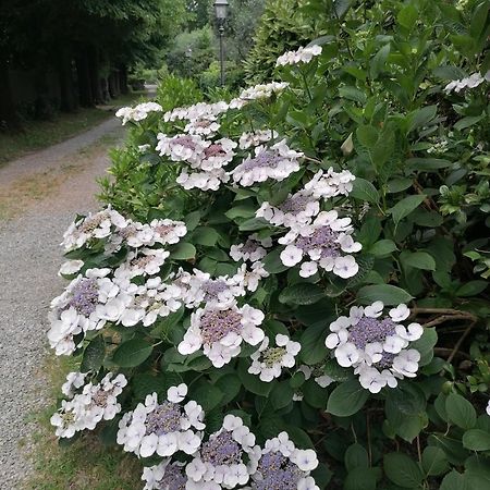 Lavanda Appartamento Vigliano Biellese Εξωτερικό φωτογραφία